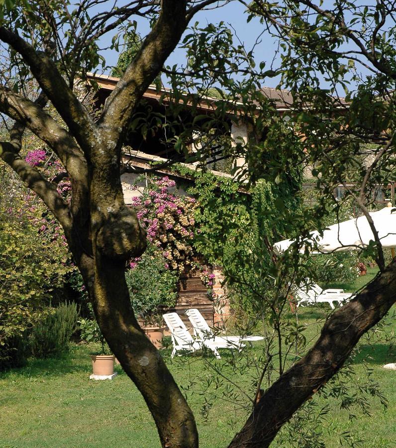 Hotel Belvedere Torri Del Benaco Extérieur photo