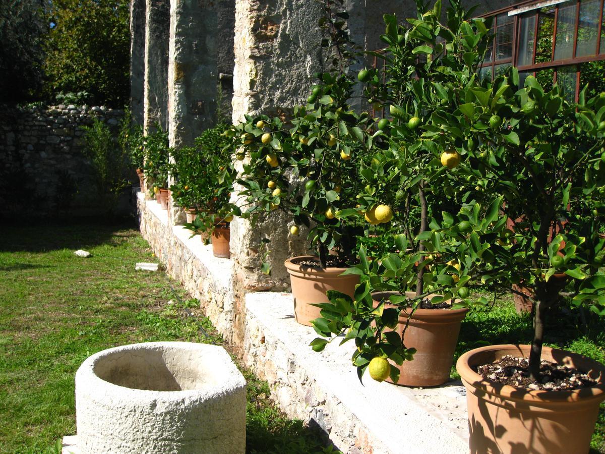 Hotel Belvedere Torri Del Benaco Extérieur photo